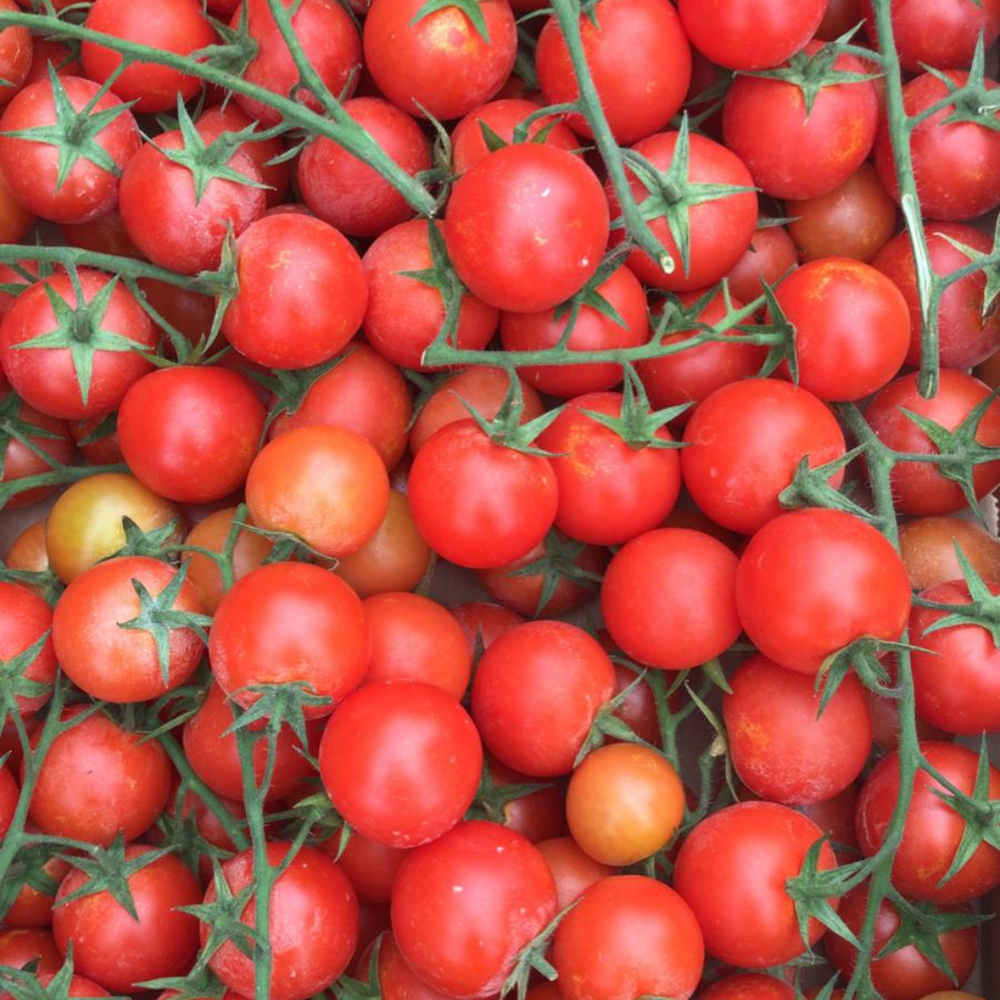 
                  
                    Tomate (Distintas Variedades)
                  
                
